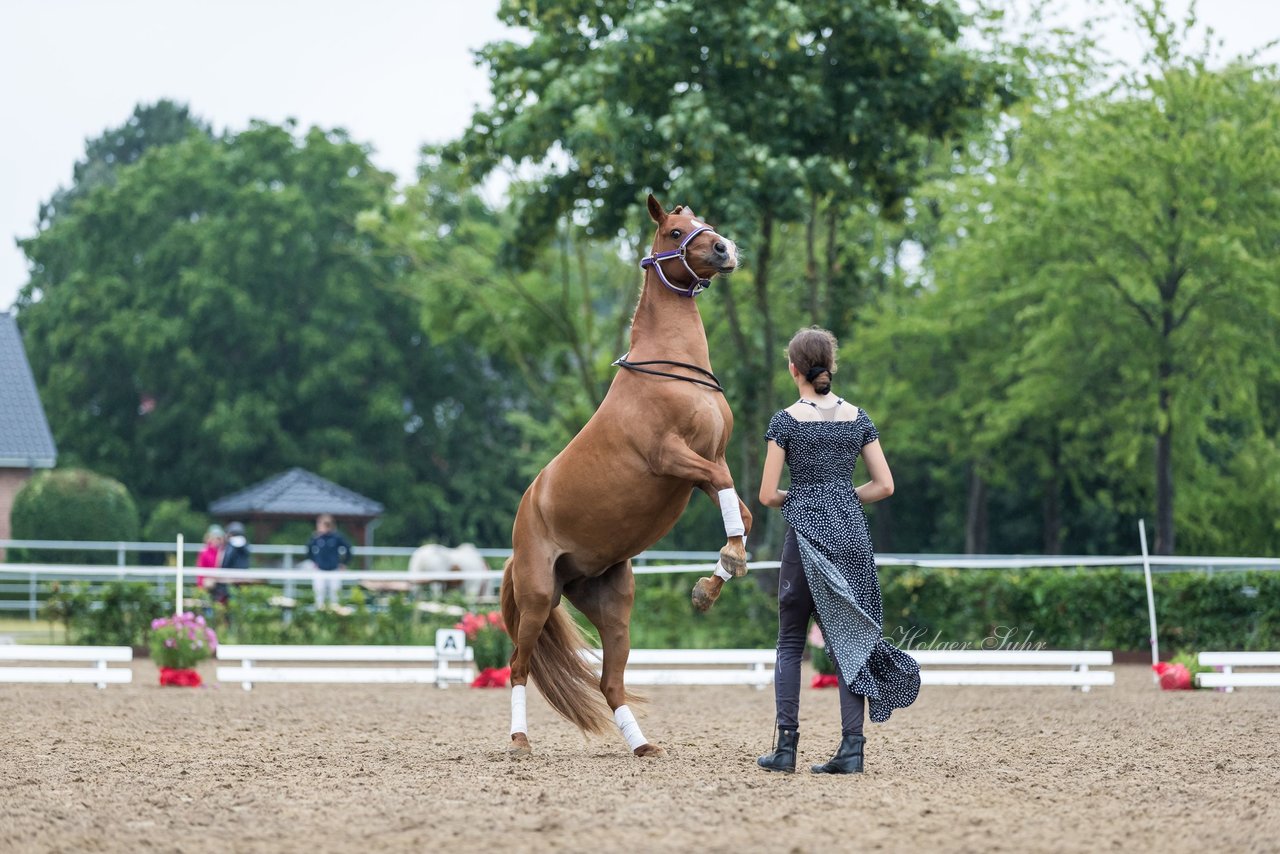 Bild 166 - Pony Akademie Turnier